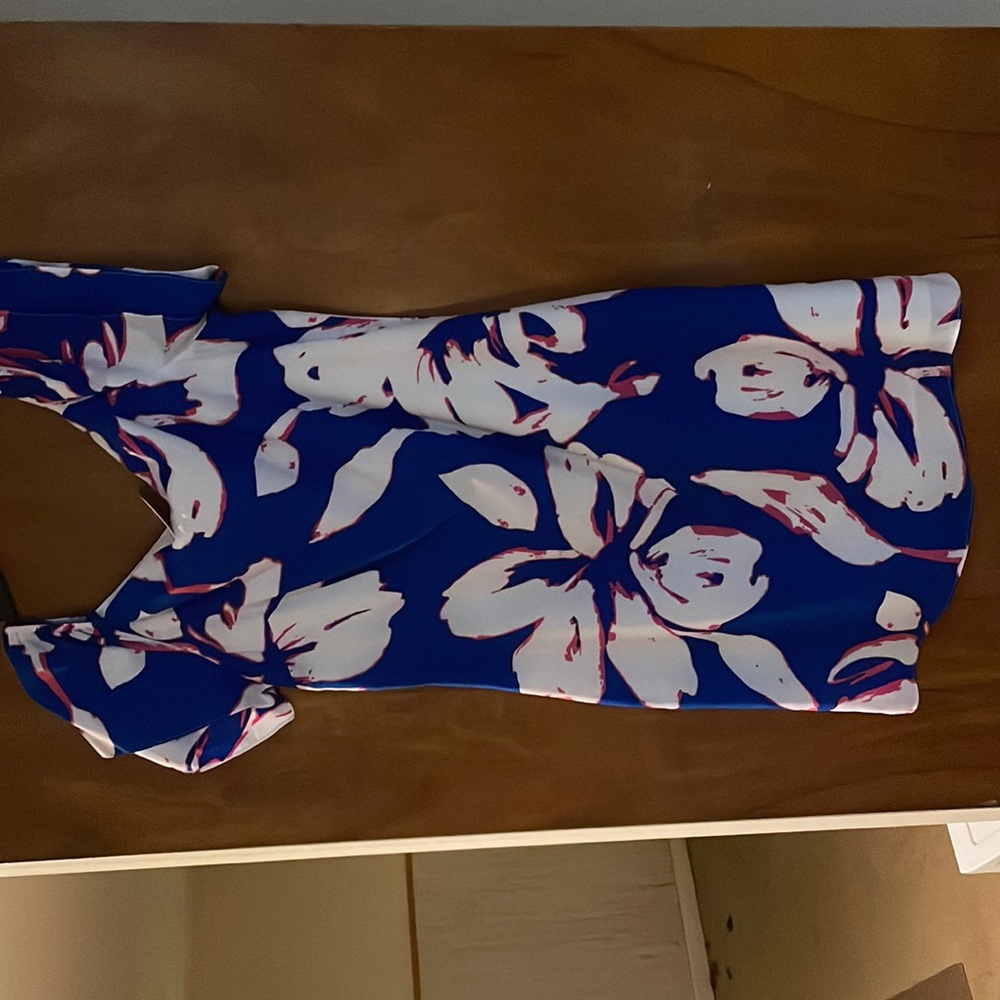 Brill Ryan dress size medium